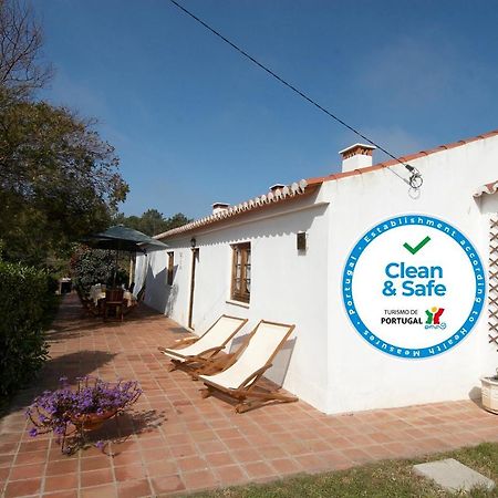 Quinta Pero Vicente Villa Odeceixe Eksteriør billede